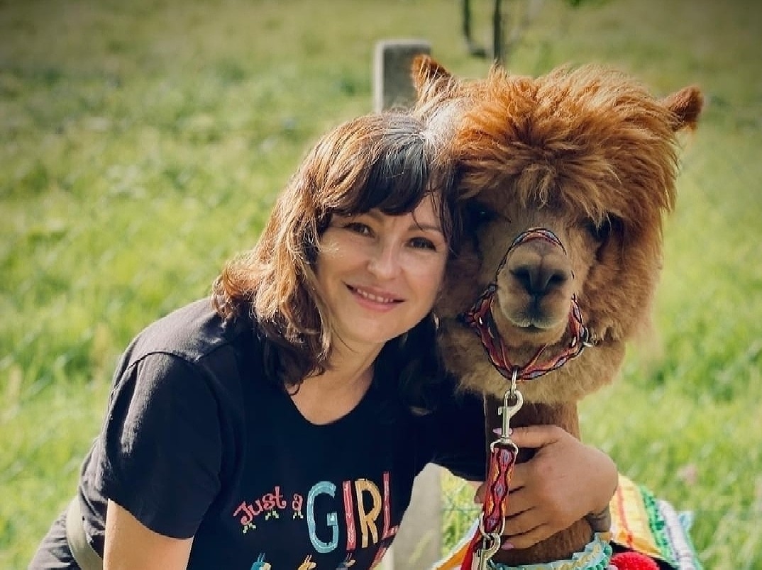 Aktywność Poznaj Alpaki